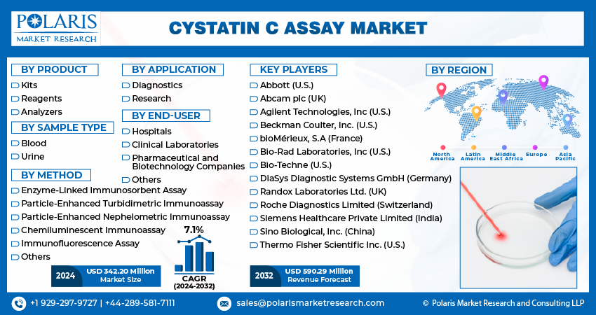 Cystatin C Assay